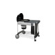Weber Holzkohlegrill Performer Premium GBS Edition(schwarz, Ø 57cm)