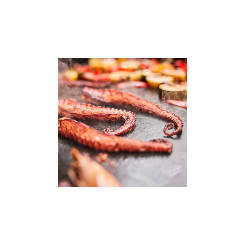 Weber SLATE GPD Premium Plancha, 76cm, Gasgrill(schwarz/silber)