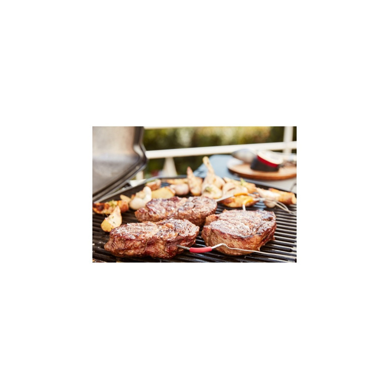 Weber iGrill Pro Messfühler für Grillgut, Thermometer(für alle Weber iGrill Modelle)