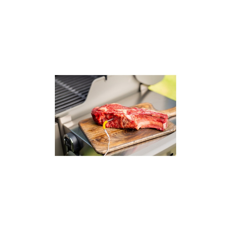Weber iGrill Pro Messfühler für Grillgut, Thermometer(für alle Weber iGrill Modelle)