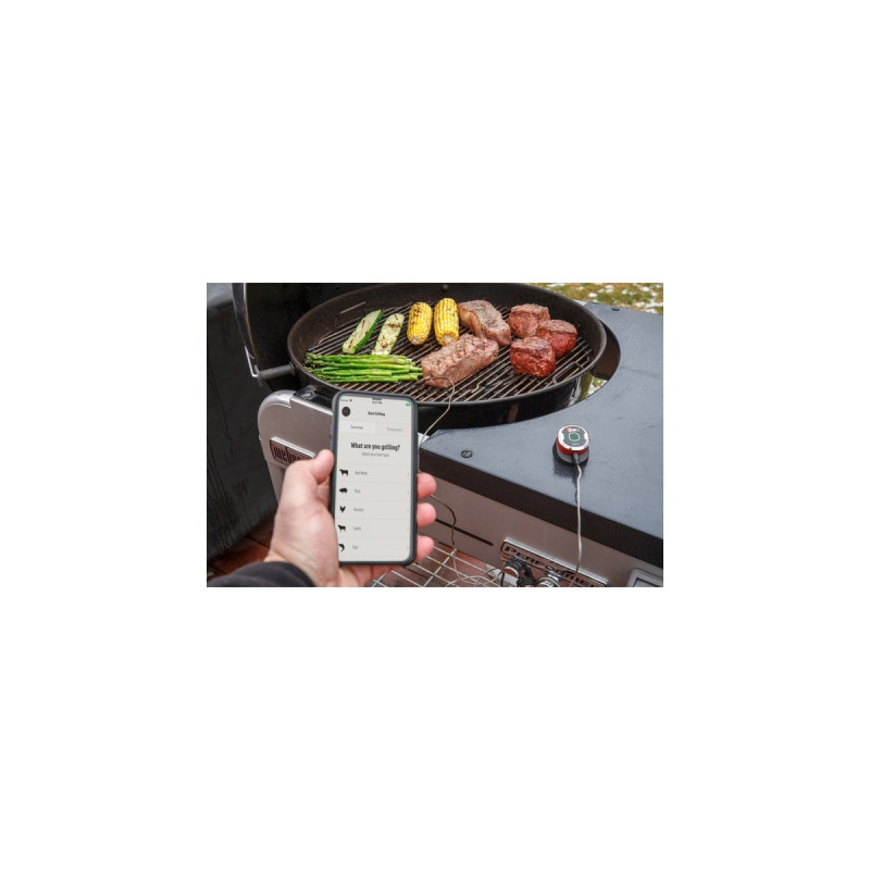 Weber iGrill mini mit LED Display 7220, Thermometer