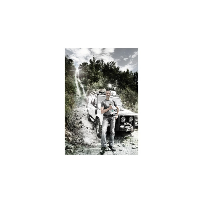 Wera 8767 C HF 3 Zyklop Bitnuss-Satz TORX, Bit-Satz(9-teilig, 1/2