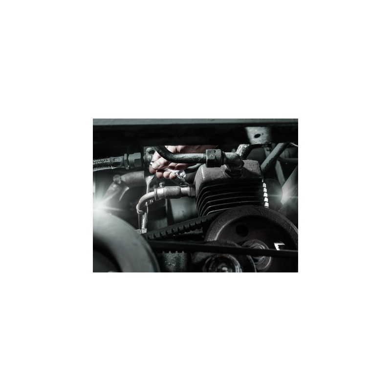 Wera Tool-Check Plus, 39-teilig, Bit-Satz(schwarz, inkl. Bit-Ratsche und Steckgriff)