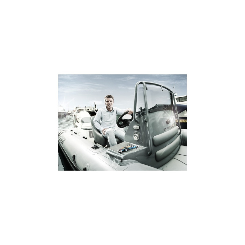 Wera Winkelschlüsselsatz 3950 SPKL/9 SM, Schraubendreher(Edelstahl, mit Halteclip)