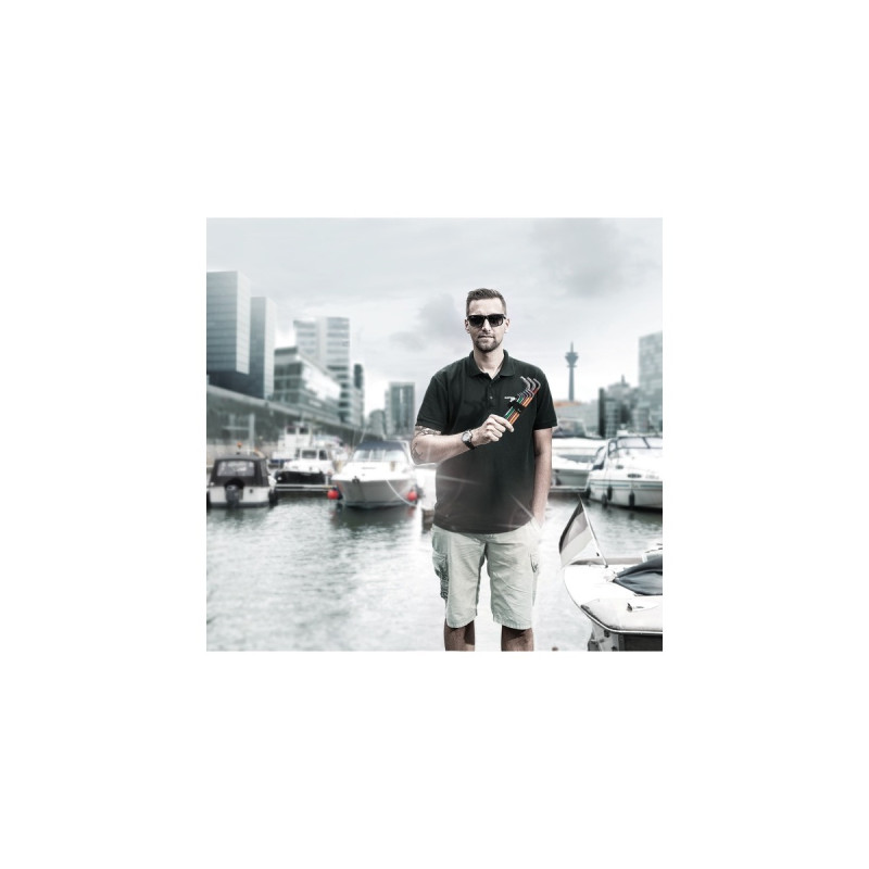 Wera Winkelschlüsselsatz 3950 SPKL/9 SM, Schraubendreher(Edelstahl, mit Halteclip)