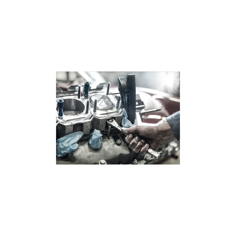 Wera Zyklop Metal-Knarre 8003 C(mit Durchsteckvierkant, 1/2