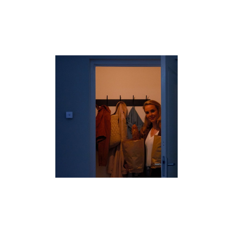 WiZ Bewegungssensor, Bewegungsmelder(weiß)