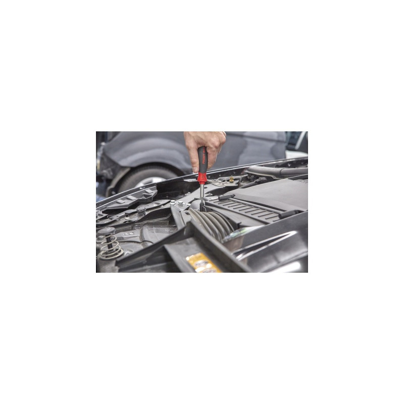 Wiha Schraubendreher mit Bitmagazin PocketMax magnetisch(schwarz/rot, 9-teilig)