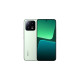 Xiaomi 13 256GB, Handy(Flora Green, Android 13)