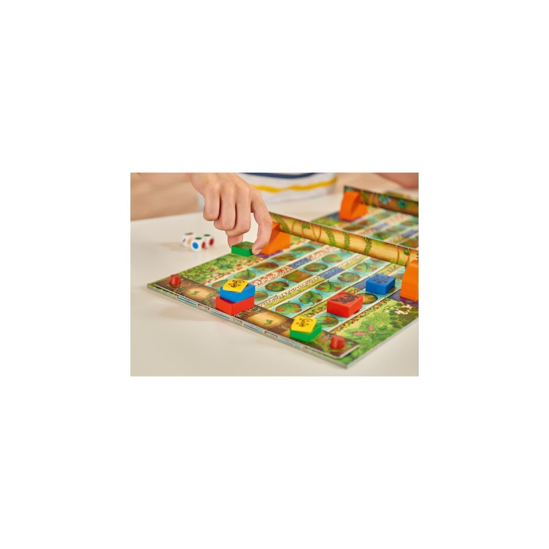 Zoch Go Gecko Go, Brettspiel