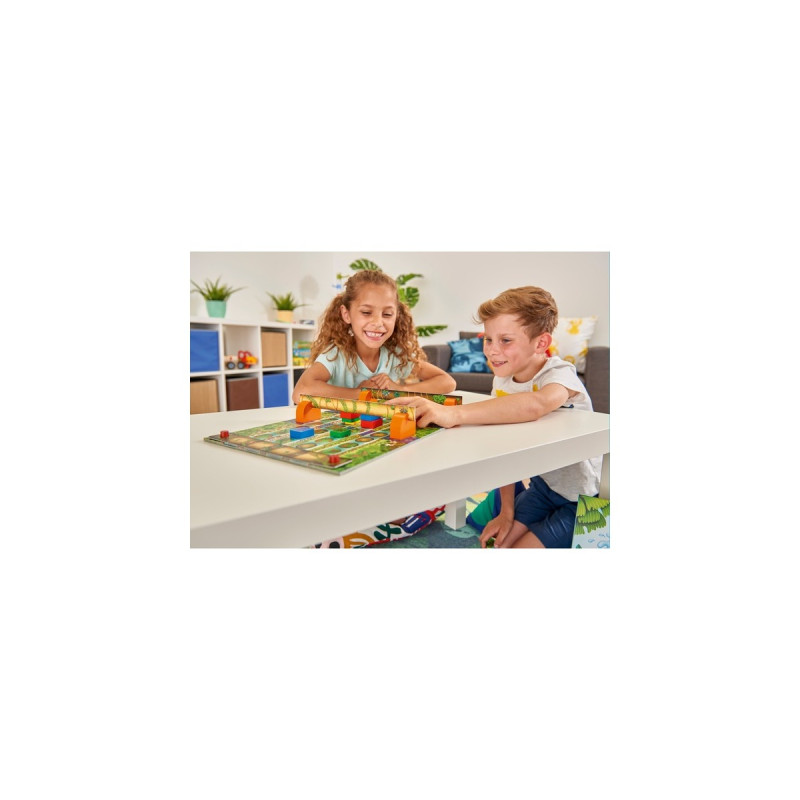 Zoch Go Gecko Go, Brettspiel