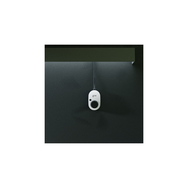 go-e Charger Gemini, 22 kW (32A 3-phasig), Wallbox(weiß/schwarz, ohne Kabel)