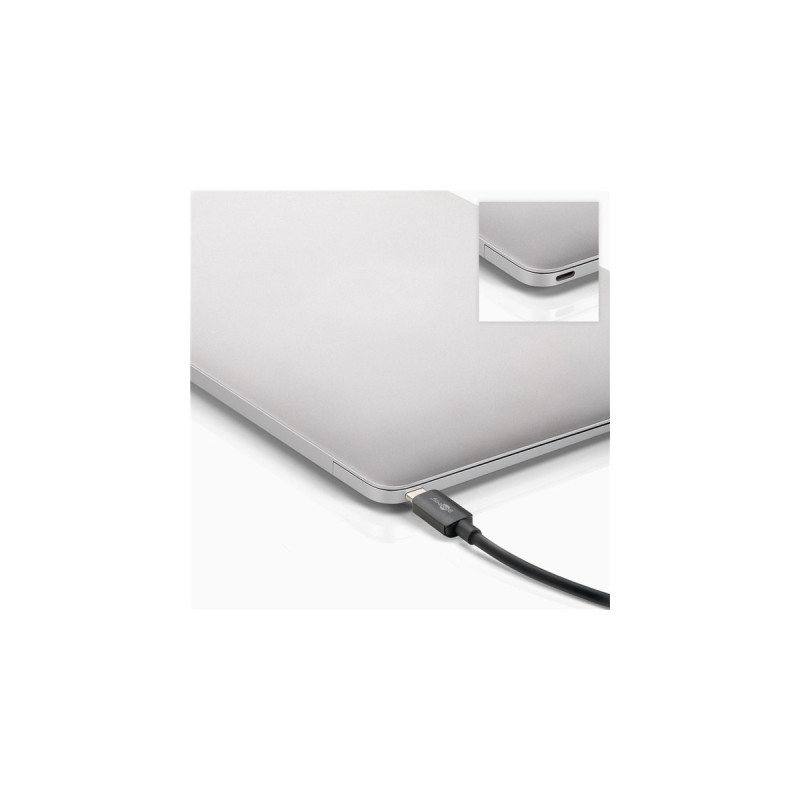 HDMI + DisplayPort Buchse(schwarz, 12cm)