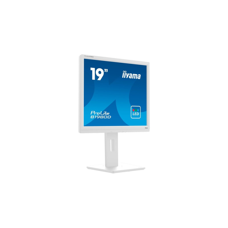 iiyama B1980D-W5, LED-Monitor(48 cm (19 Zoll), weiß, SXGA, TN, VGA, DVI)