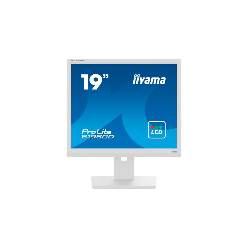iiyama B1980D-W5, LED-Monitor(48 cm (19 Zoll), weiß, SXGA, TN, VGA, DVI)