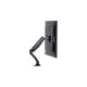 iiyama DS3001C-B1, Monitorhalterung(schwarz)