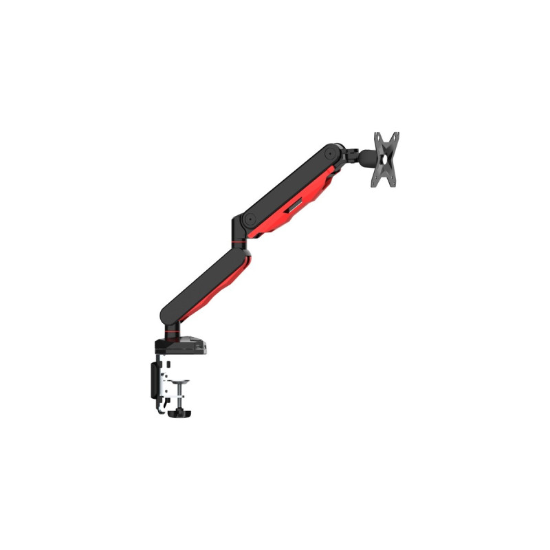 iiyama DSG3001C-R1, Monitorhalterung(schwarz)