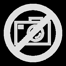 JBL Xtreme 4 , Lautsprecher(tarnfarben, Bluetooth 5.3, USB-C)