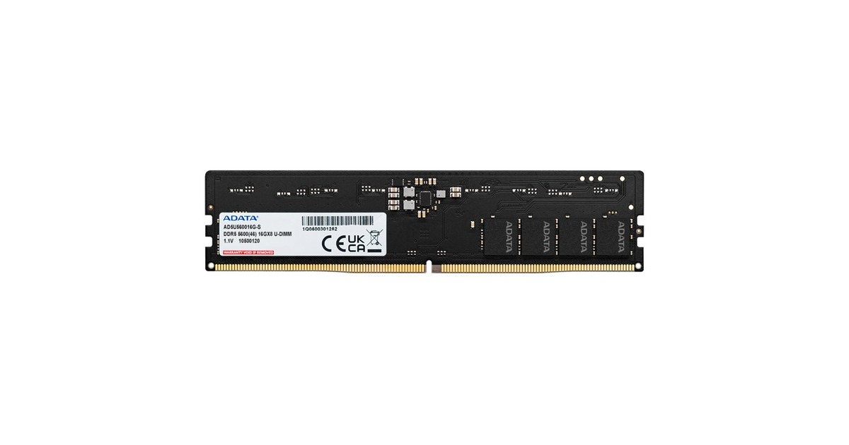 ADATA DIMM 16 GB DDR5-5600, Arbeitsspeicher(AD5U560016G-S, Premier Tray, INTEL XMP)