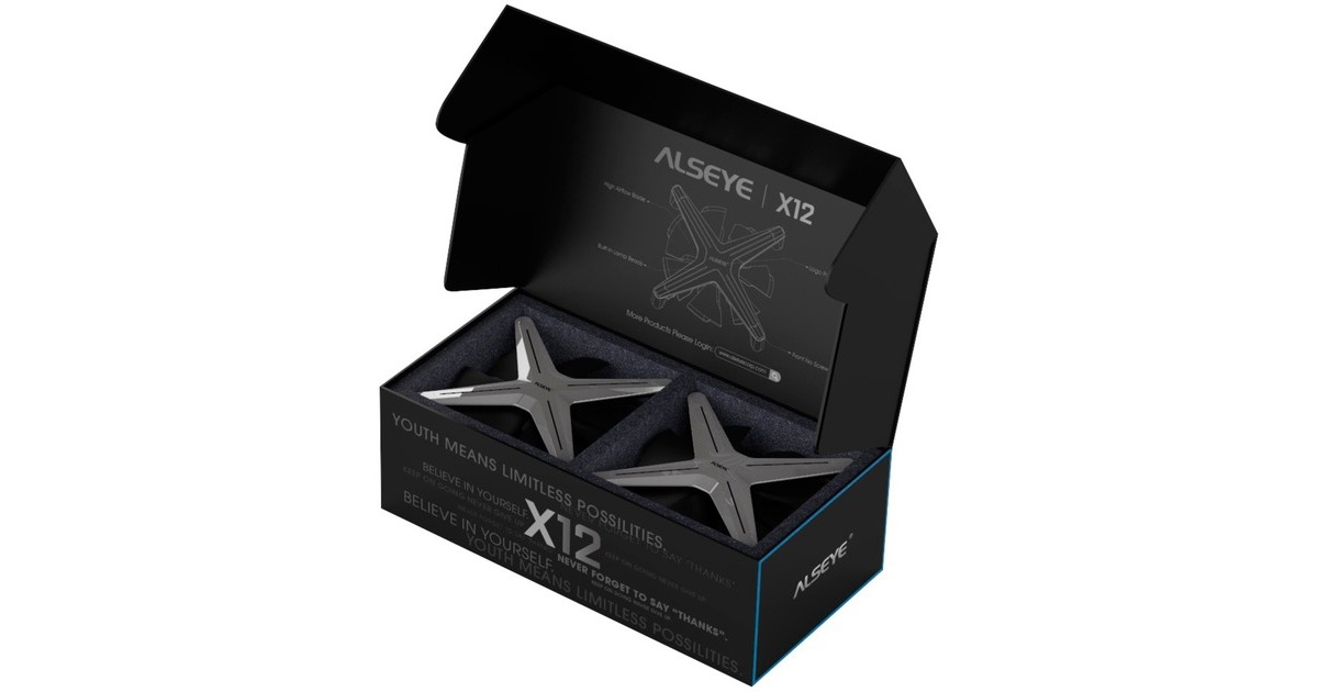 ALSEYE X12 Kit 120x120x30 mm, Gehäuselüfter(grau, 3er Pack, Steuerungseinheit, Fernbedienung)