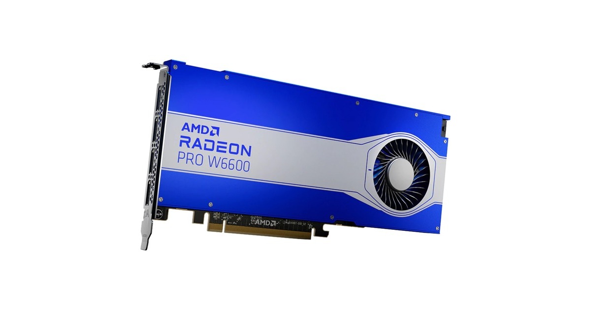 AMD Radeon Pro W6600 8GB, Grafikkarte AMD Radeon Pro W6600 8GB, Grafikkarte
