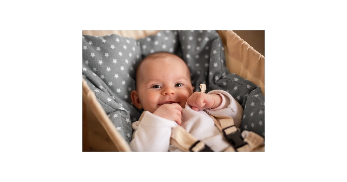 Amazonas Koala Set AZ-4060000, Hängematte(creme, Mit Gestell)