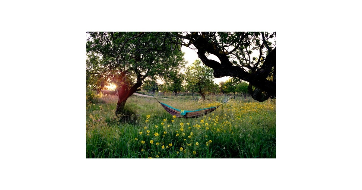 Amazonas Silk Traveller XL Mountain AZ-1030186, Camping-Hängematte(braun/türkis)