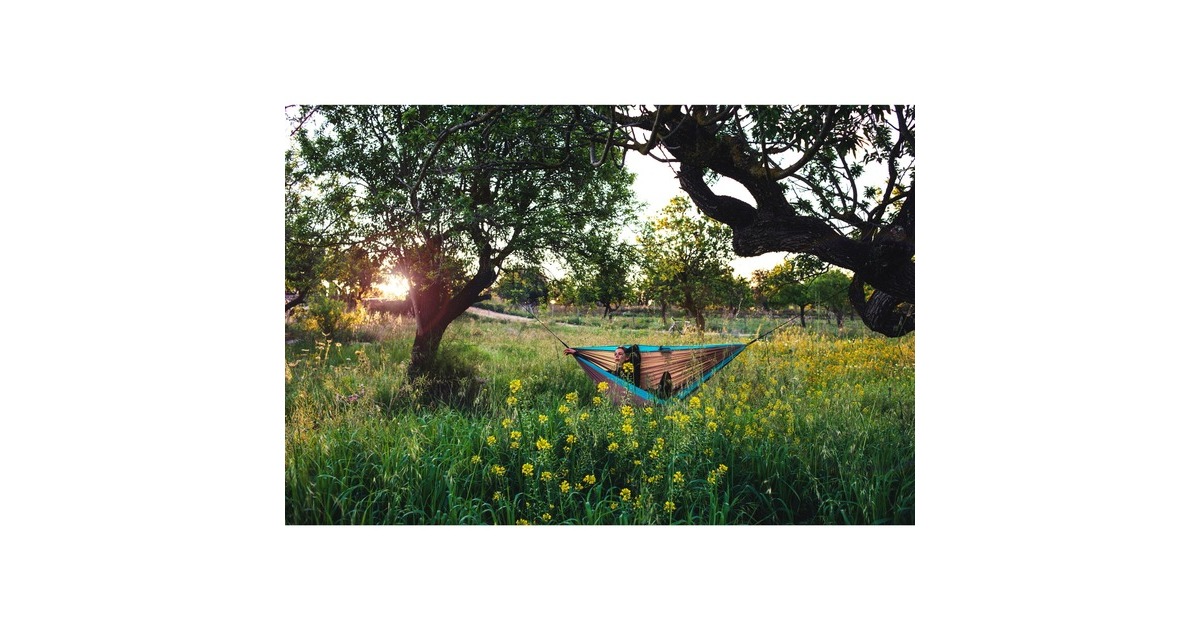 Amazonas Silk Traveller XL Mountain AZ-1030186, Camping-Hängematte(braun/türkis)