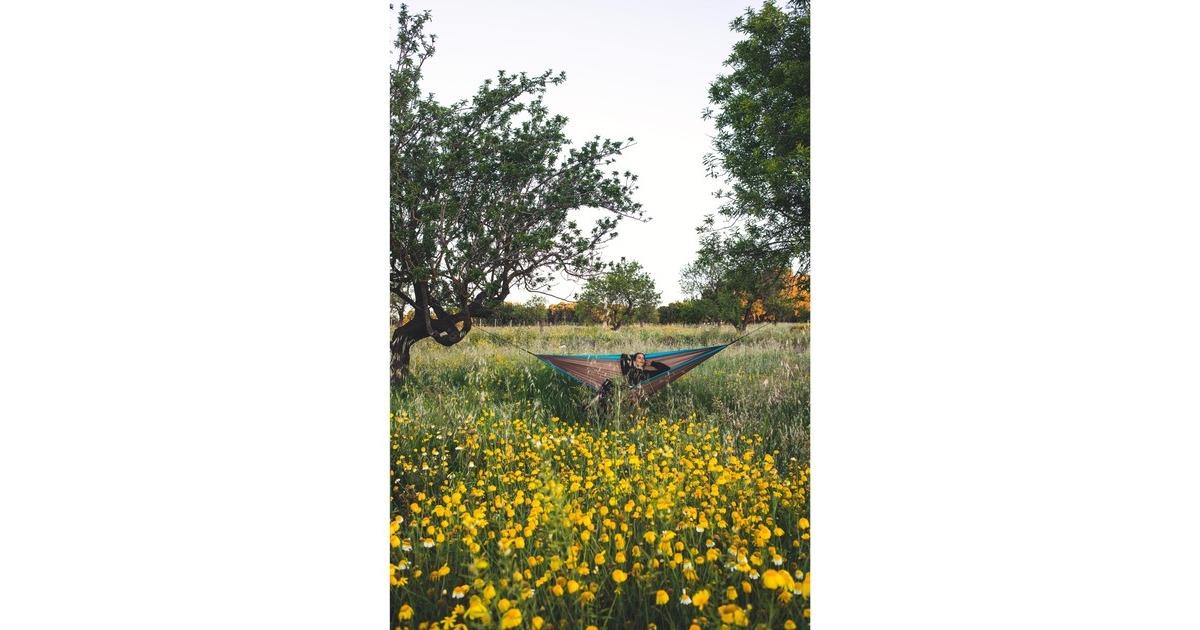 Amazonas Silk Traveller XL Mountain AZ-1030186, Camping-Hängematte(braun/türkis)