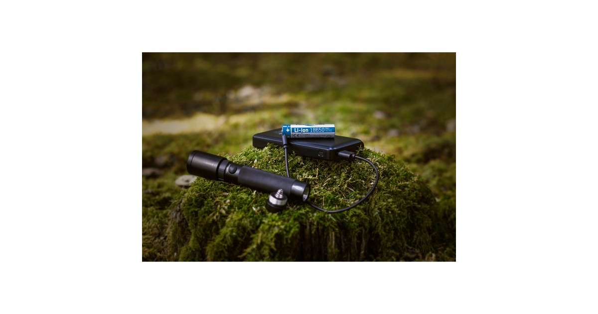 Ansmann Li-Ion Akku 18650 2600 mAh mit Micro-USB Ladebuchse(18650, 1 Stück)