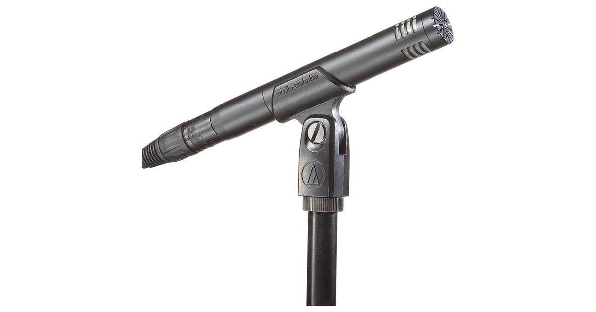 Audio-Technica AT2031, Mikrofon(schwarz)