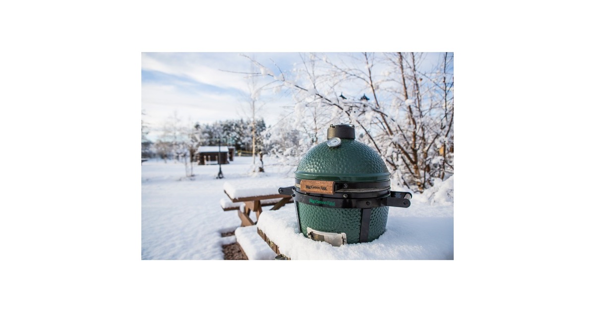 Big Green Egg MiniMax, mit EGG Carrier, Holzkohlegrill(grün, Ø 33cm)