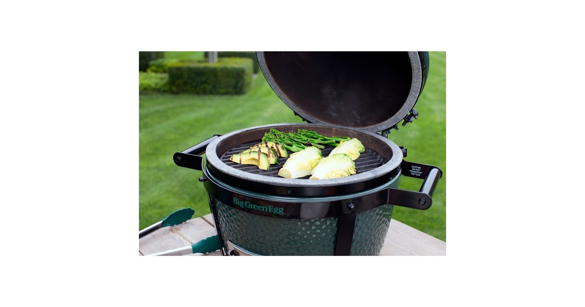 Big Green Egg MiniMax, mit EGG Carrier, Holzkohlegrill(grün, Ø 33cm)
