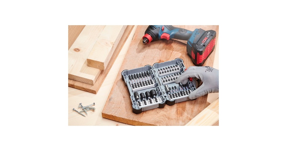 Bosch Pick and Click Impact Control Doppelklingenbit-Satz, 8-teilig(110mm, TORX, PH, PZ)