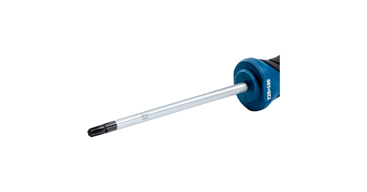 Bosch Schraubendreher TX 25 x 100 Professional(blau/schwarz)