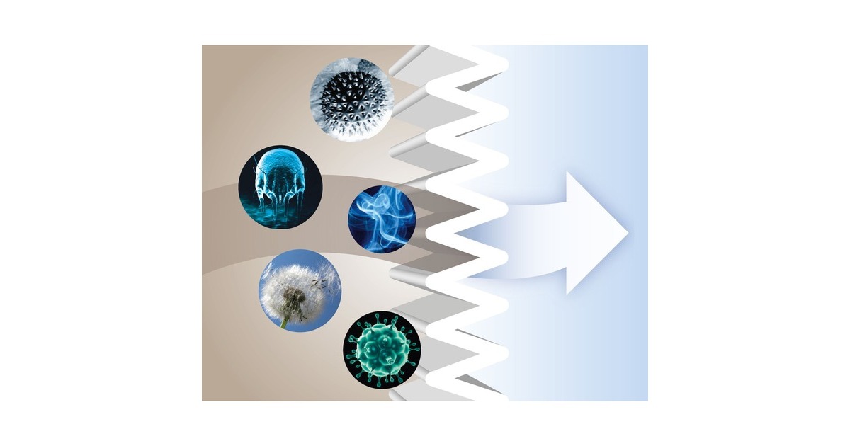 Bosch UltraAllergy Hygienefilter waschbar(für GL50.. - GL85..)