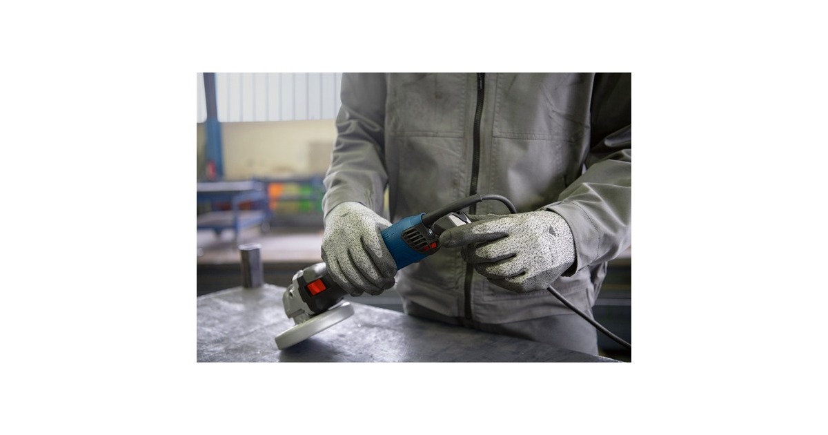 Bosch Winkelschleifer GWS 17-125 S Inox Professional(blau/schwarz, 1.700 Watt)