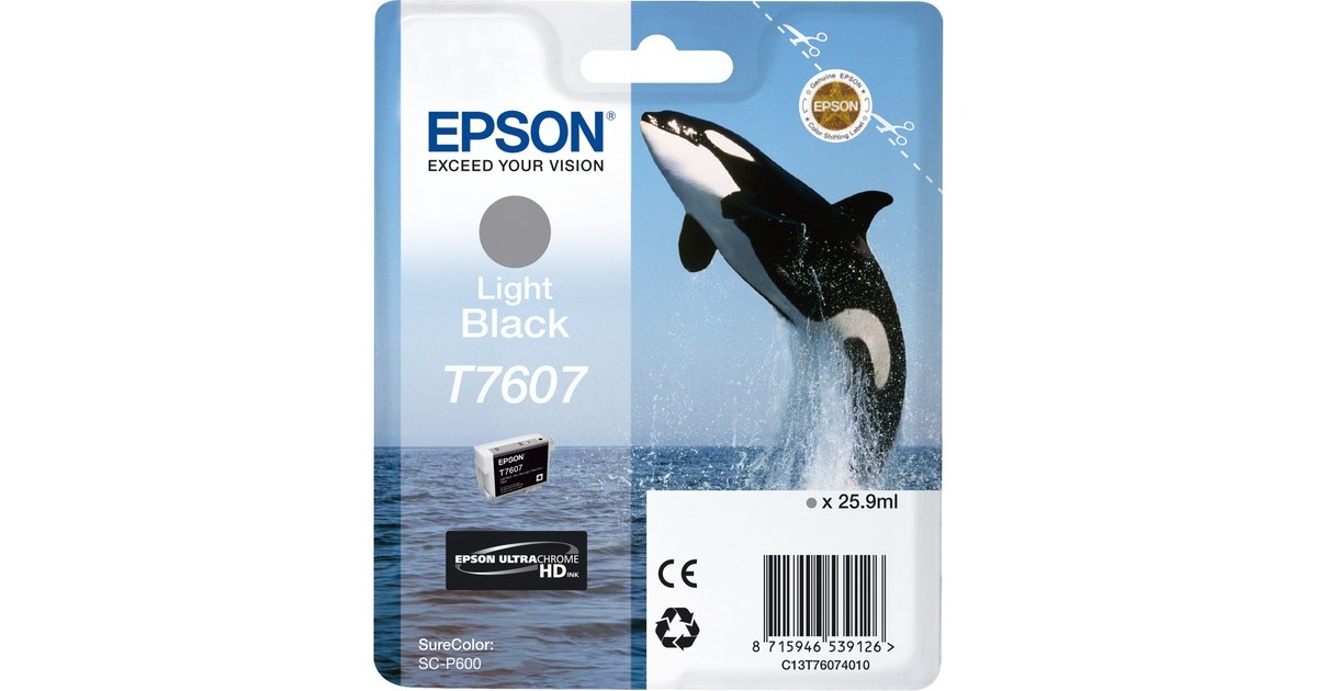 Epson Tinte Light Schwarz C13T76074010