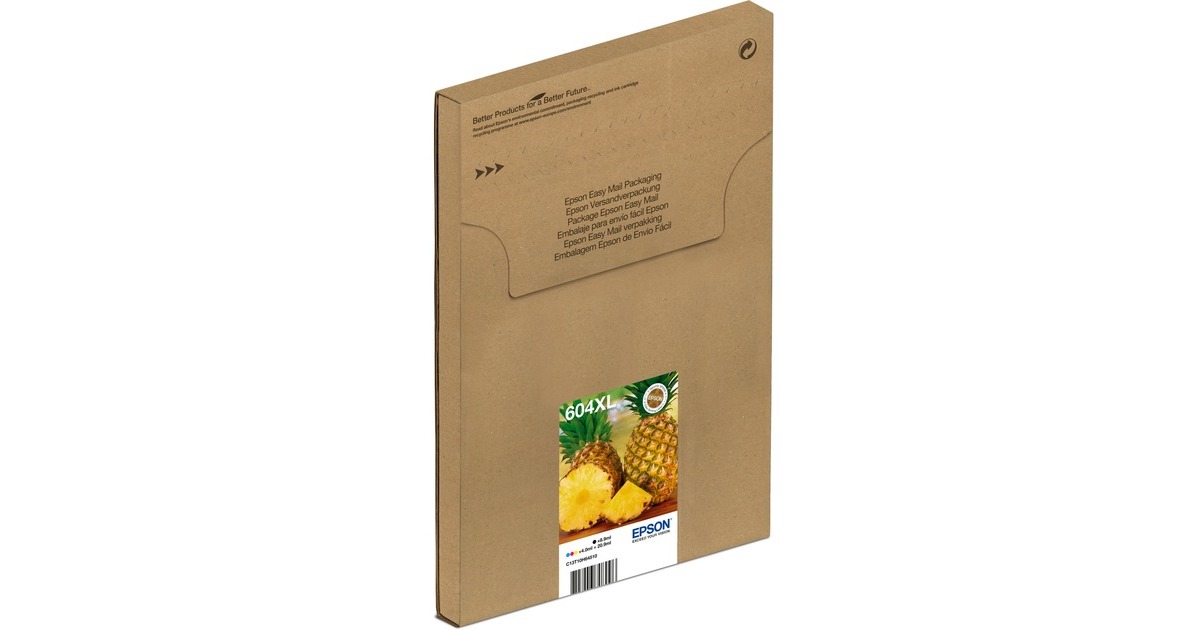 Epson Tinte Multipack 604XL Black/Std. CMY (C13T10H64510)(Easymail-Verpackung)