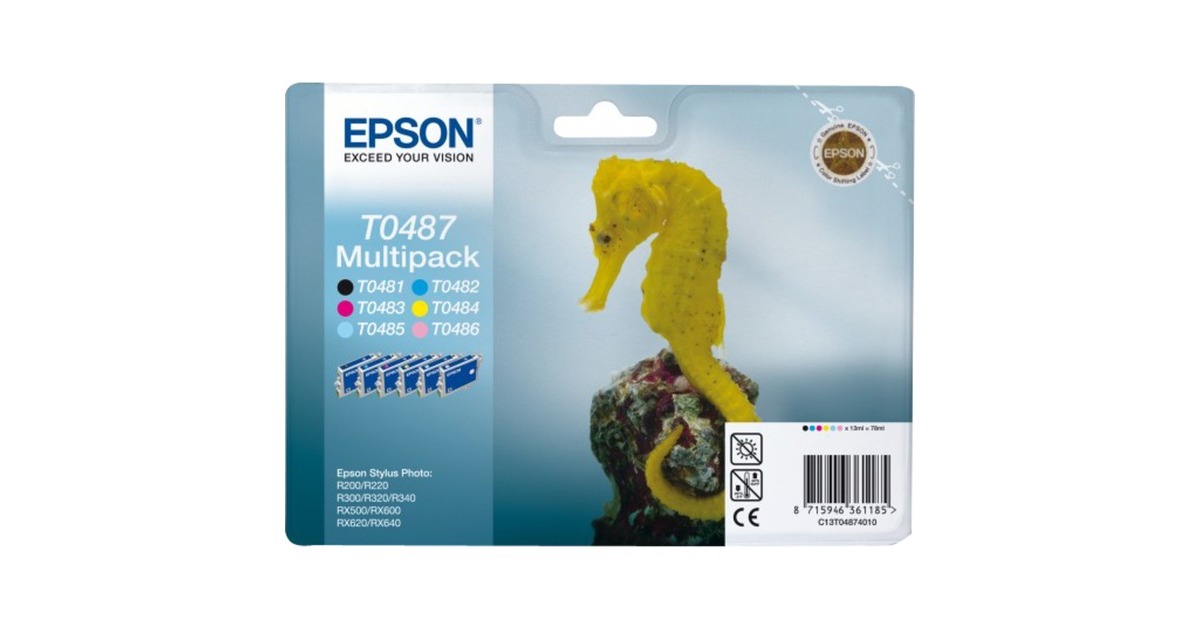 Epson Tinte Multipack C13T04874010(Retail)