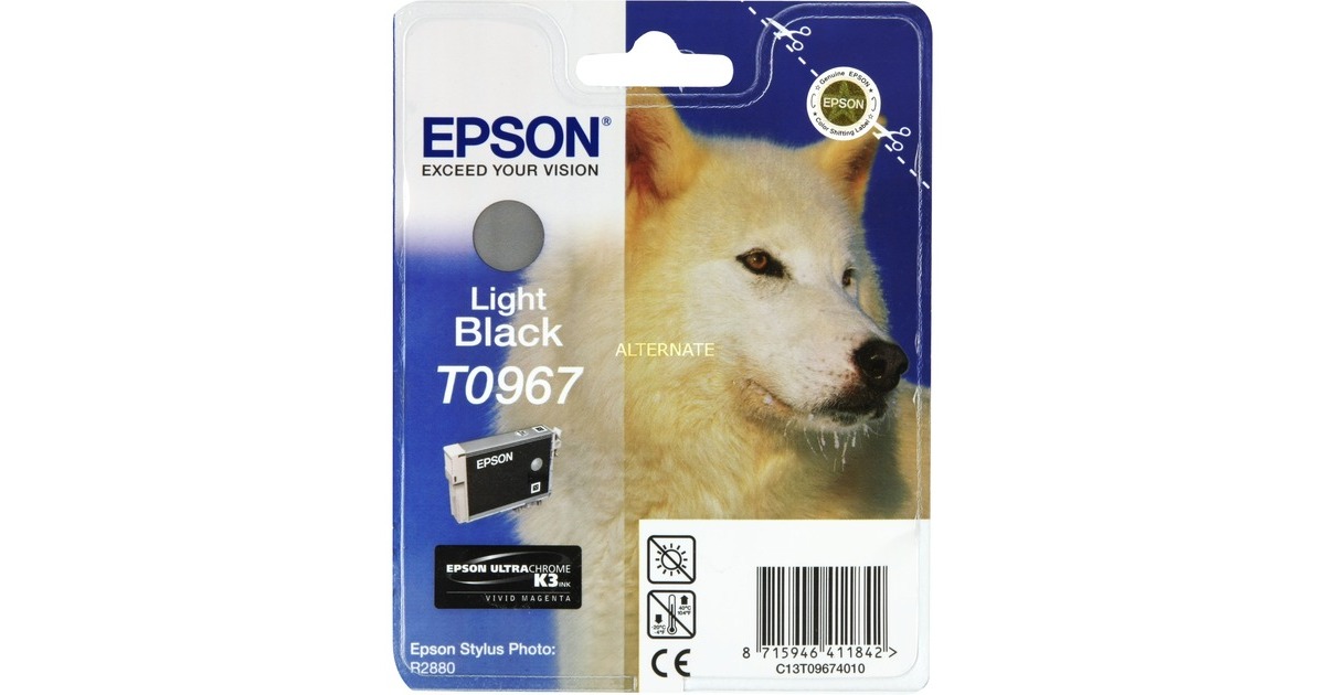 Epson Tinte leicht-schwarz C13T09674010(Retail)