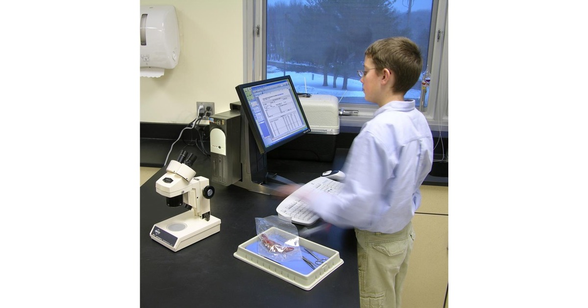 Ergotron Neo-Flex All-In-One-Standfuß, Monitorhalterung(schwarz)