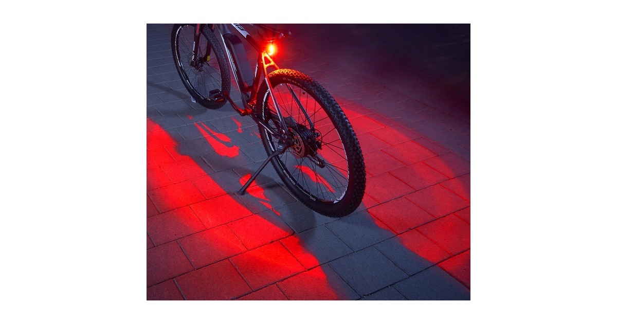 FISCHER Fahrrad Akku-Rücklicht Twin, LED-Leuchte