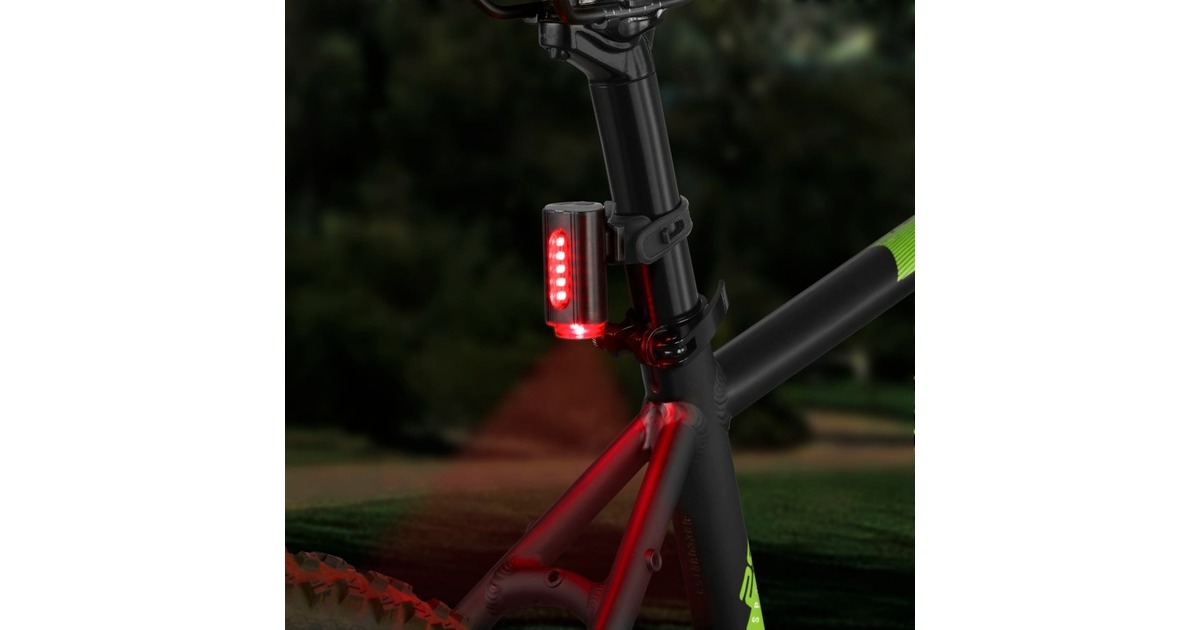 FISCHER Fahrrad Akku-Rücklicht Twin, LED-Leuchte