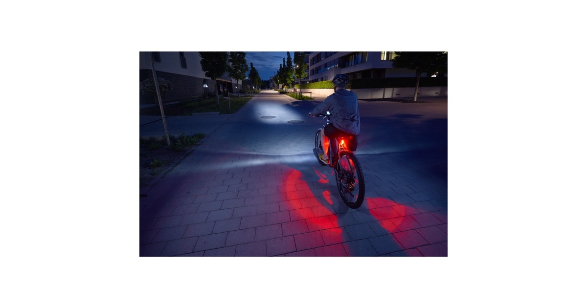 FISCHER Fahrrad Akku-Rücklicht Twin, LED-Leuchte