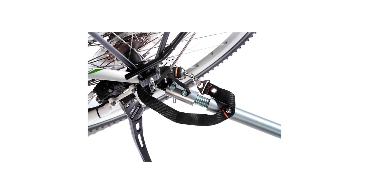 FISCHER Fahrrad Kinder-Fahrradanhänger Komfort(grün/grau)