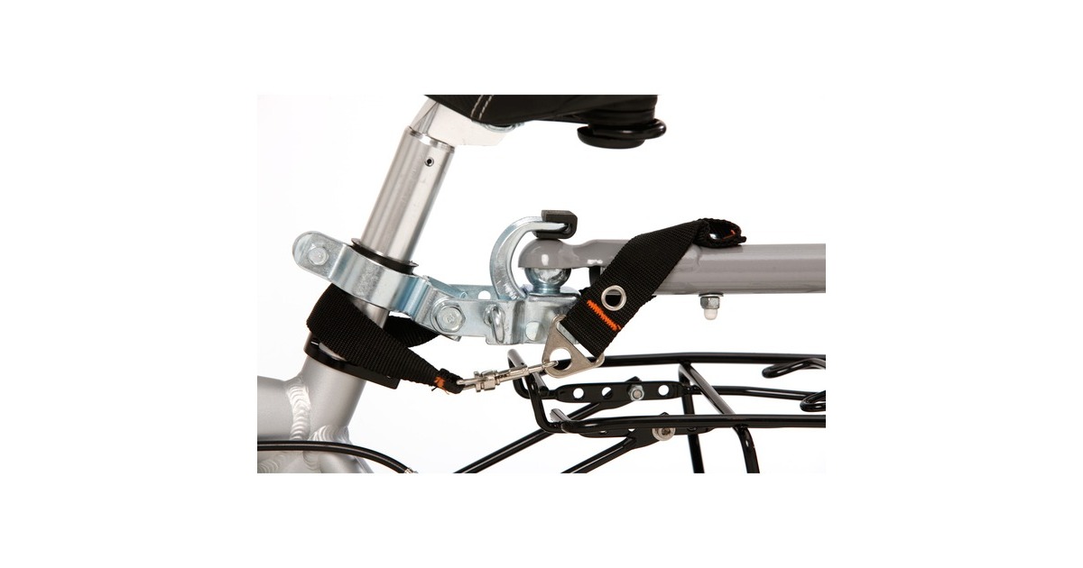 FISCHER Fahrrad Lastenanhänger Profi Plus III, Fahrradanhänger