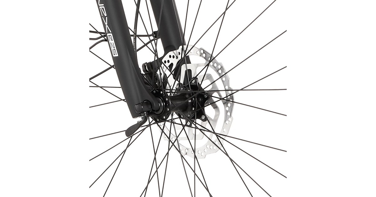 FISCHER Fahrrad Viator 1.0 Herren, Pedelec(anthrazit, 50 cm Rahmen, 28