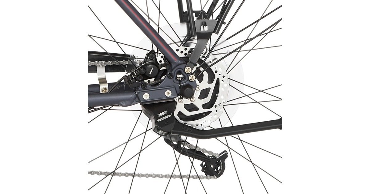 FISCHER Fahrrad Viator 1.0, Pedelec(anthrazit, 28