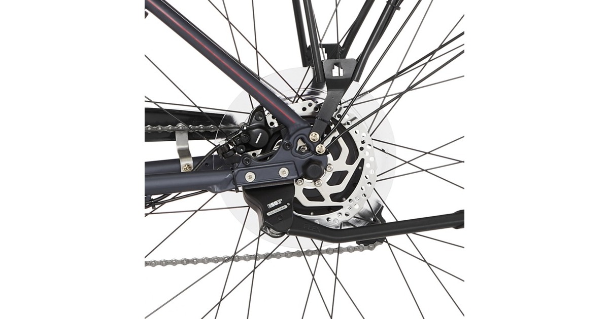 FISCHER Fahrrad Viator 1.0 , Pedelec(schwarz, 28